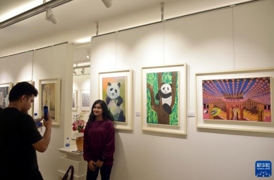 11月22日，在孟加拉國(guó)達(dá)卡，人們?cè)凇皣?guó)家印象”繪畫展上參觀拍照。新華社發(fā)（薩利姆攝）