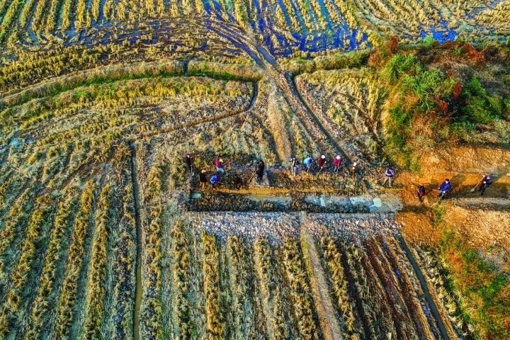 良渚遺址考古發(fā)掘現(xiàn)場(chǎng)。