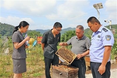  圖②：蒙山法院黃村法庭法官深入蜂蜜合作社，實地了解蜂農(nóng)需求。