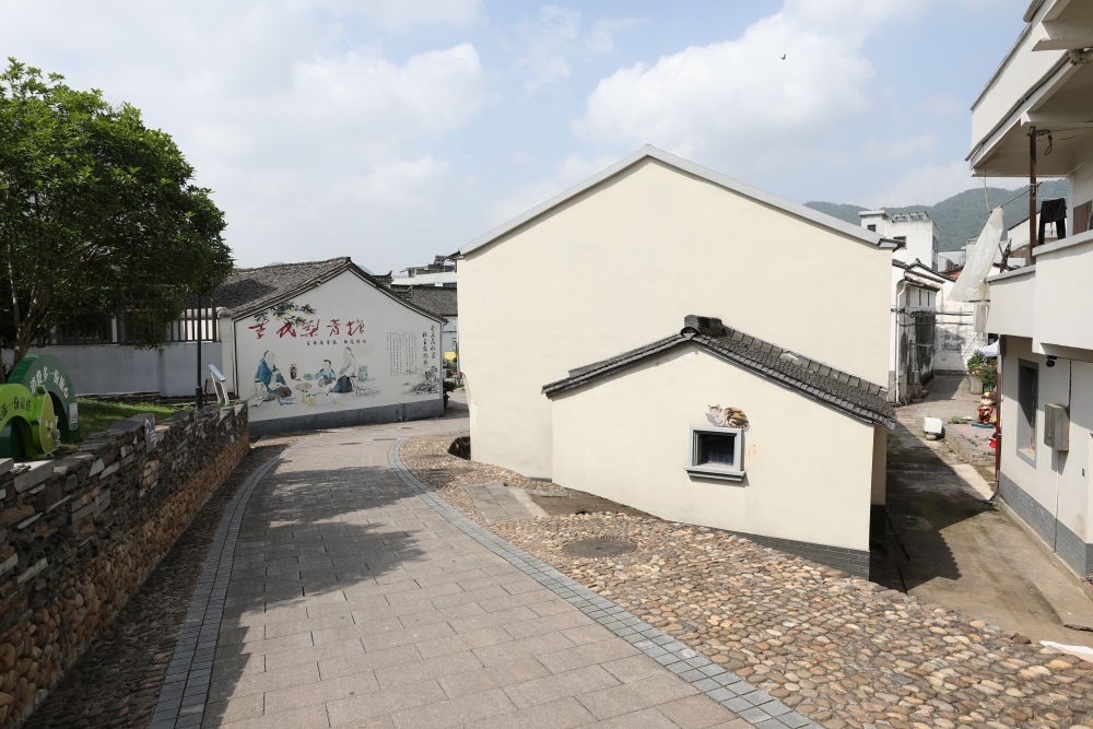 浙江省義烏市李祖村一景（2023年5月23日攝）。新華社記者 杜瀟逸 攝