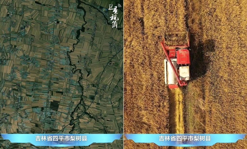 隨著現(xiàn)代化農(nóng)機(jī)普及應(yīng)用，保護(hù)性耕作“梨樹(shù)模式”得以大面積推廣，不僅使黑土地保護(hù)與利用持續(xù)深入，更為糧食作物高產(chǎn)穩(wěn)產(chǎn)助力。