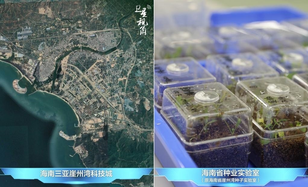 位于三亞崖州灣科技城的海南省種業(yè)實(shí)驗(yàn)室（原海南省崖州灣種子實(shí)驗(yàn)室）將形成輻射全國(guó)和“一帶一路”沿線國(guó)家的種子科學(xué)技術(shù)創(chuàng)新中心。
