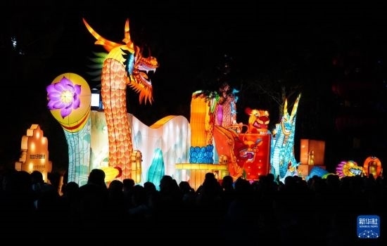 2月11日晚，人們在濟南市趵突泉公園觀賞花燈。