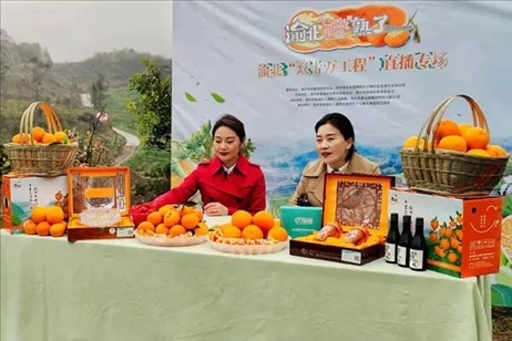 2021年2月26日，在重慶渝北區(qū)大盛鎮(zhèn)青龍村舉辦的直播活動現(xiàn)場。