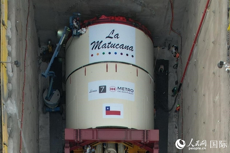 質(zhì)構(gòu)機(jī)全景。陳露明攝