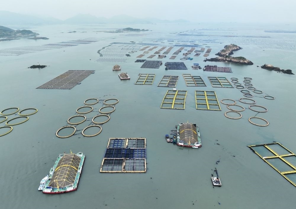 在福建連江定海灣海域，坐落著“定海灣1號”“定海灣2號”等深遠海養(yǎng)殖平臺（2024年5月7日攝，無人機照片）。新華社記者 林善傳 攝