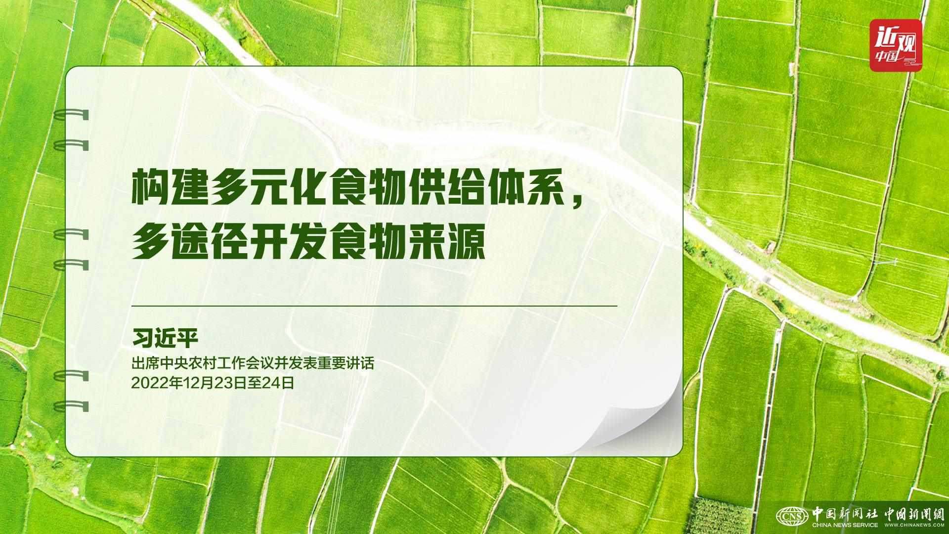 習近平：樹立大食物觀，構建多元化食物供給體系
