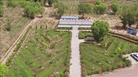 公益林近期航拍 主辦方供圖