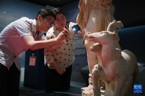 7月2日，安徽博物院工作人員在拍攝開箱后的古希臘文物。新華社記者 張端 攝