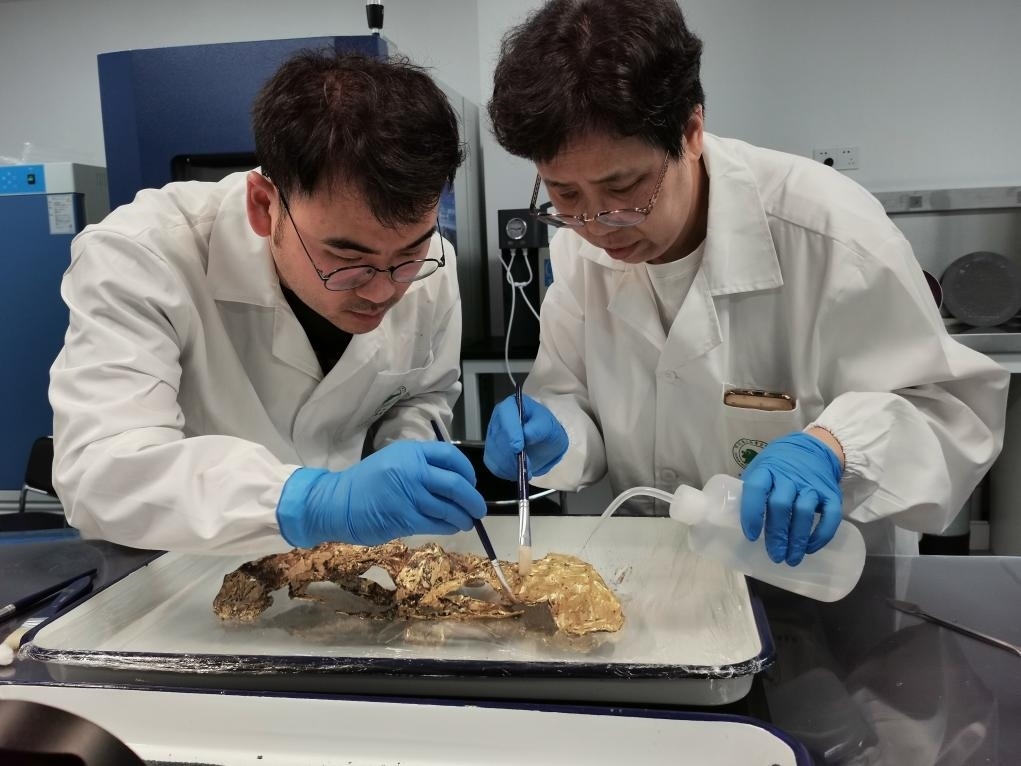 2023年7月，馬燕如（右）帶著魯海子（左）修復(fù)三星堆遺址出土的黃金面具。新華社發(fā)（四川省文物考古研究院供圖）