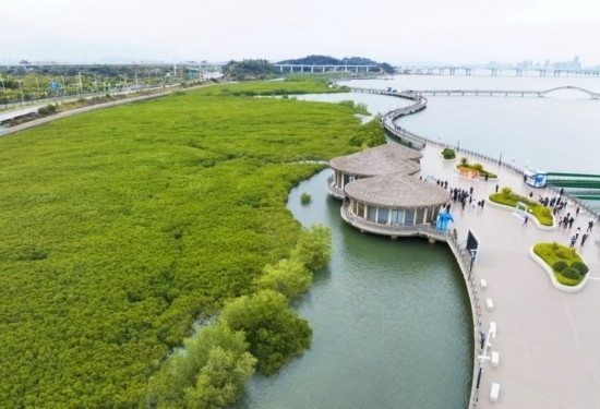 2024年1月23日拍攝的廈門市翔安區(qū)下潭尾紅樹林公園（無人機(jī)照片）。新華社記者 林善傳 攝