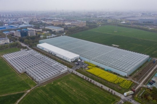 2024年3月28日，空中俯瞰嘉興南湖區(qū)湘家蕩農(nóng)業(yè)數(shù)字化工廠（無人機(jī)照片）。該農(nóng)業(yè)數(shù)字化工廠占地總面積約62畝，包含智慧農(nóng)業(yè)生產(chǎn)、物聯(lián)網(wǎng)智能管理、自動分揀包裝、保鮮儲藏物流、高科技示范展示等五大功能區(qū)，可直接或間接培養(yǎng)帶動新型職業(yè)技術(shù)農(nóng)民500人以上。新華社記者 徐昱 攝