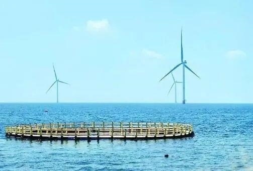 △山東萊州風(fēng)電項(xiàng)目實(shí)現(xiàn)了海上風(fēng)電和海洋牧場(chǎng)融合發(fā)展。