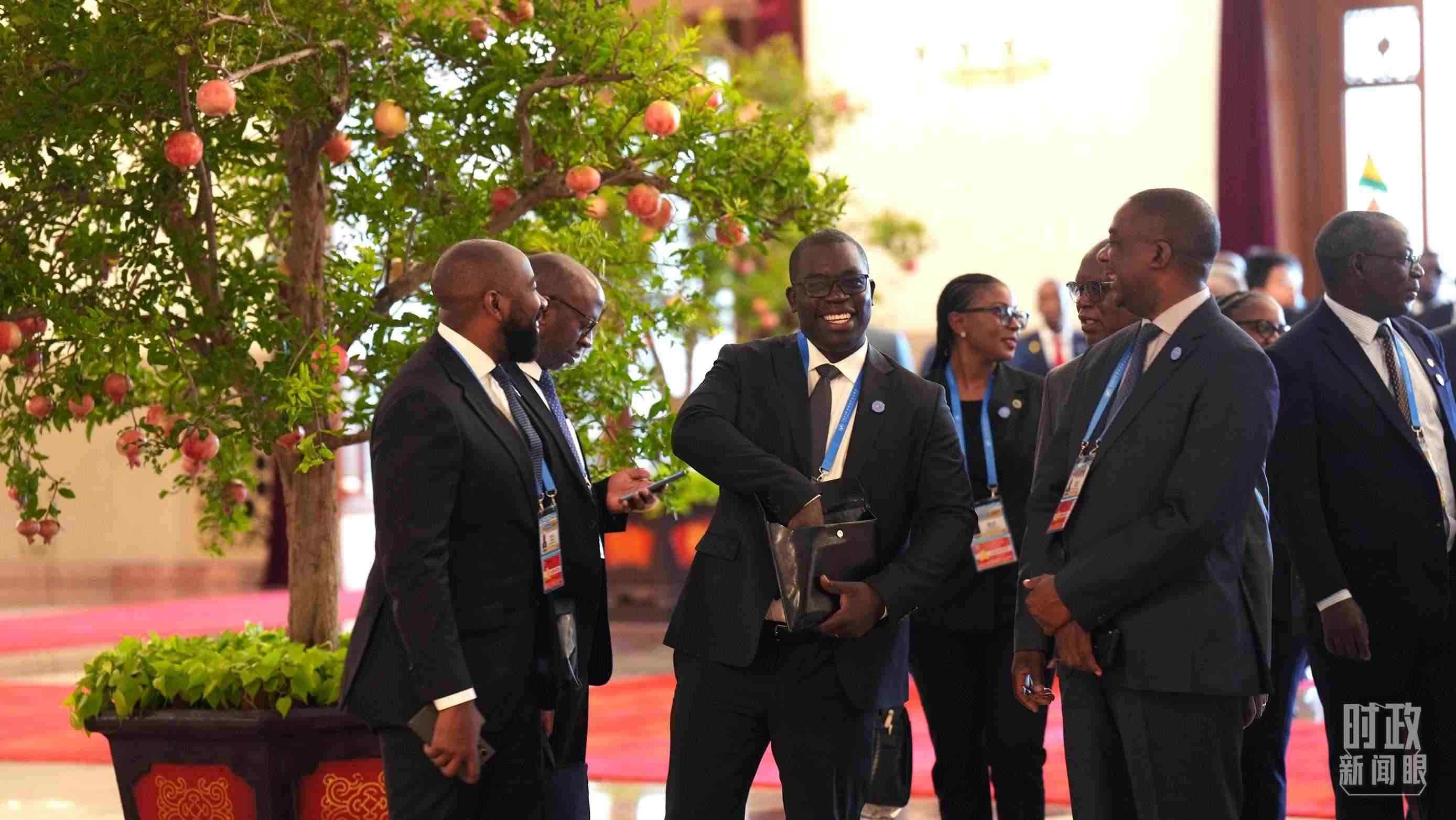 出席中非合作論壇北京峰會的非洲國家代表。（總臺記者李晉拍攝）