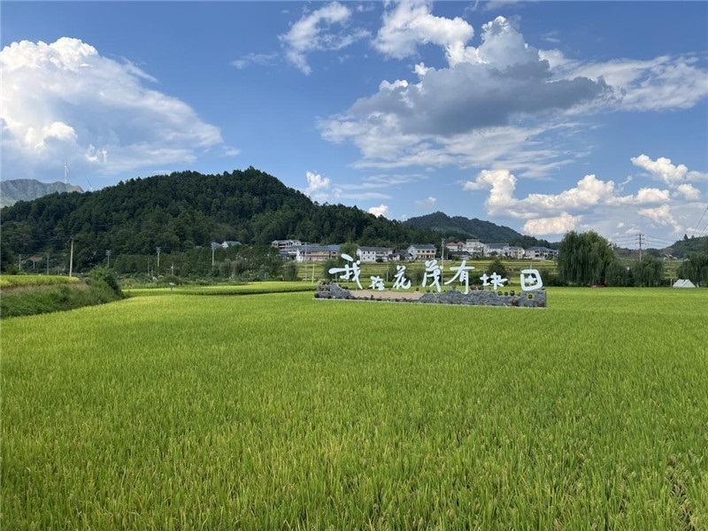 青瓦白磚的黔北民居、風(fēng)中搖曳的稻田、抬手可觸的大片云朵……才剛下車，格魯吉亞“經(jīng)濟(jì)中心網(wǎng)”總編輯莉安娜·喬爾喬利亞尼就被眼前的景色拖住了步履，喃喃細(xì)語：“實在太美了，讓我內(nèi)心平靜，在這里生活一定非常安逸和幸福?！保ㄇ褫x攝）