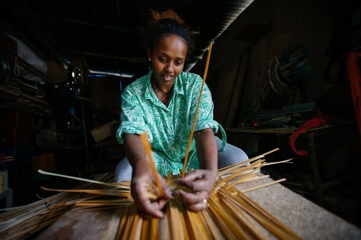 2024年8月10日，菲基爾特·加布雷在埃塞俄比亞首都亞的斯亞貝巴名為“綠色金子”的竹藤工作室里加工竹制產(chǎn)品。新華社發(fā)（邁克爾·特韋爾德 攝）