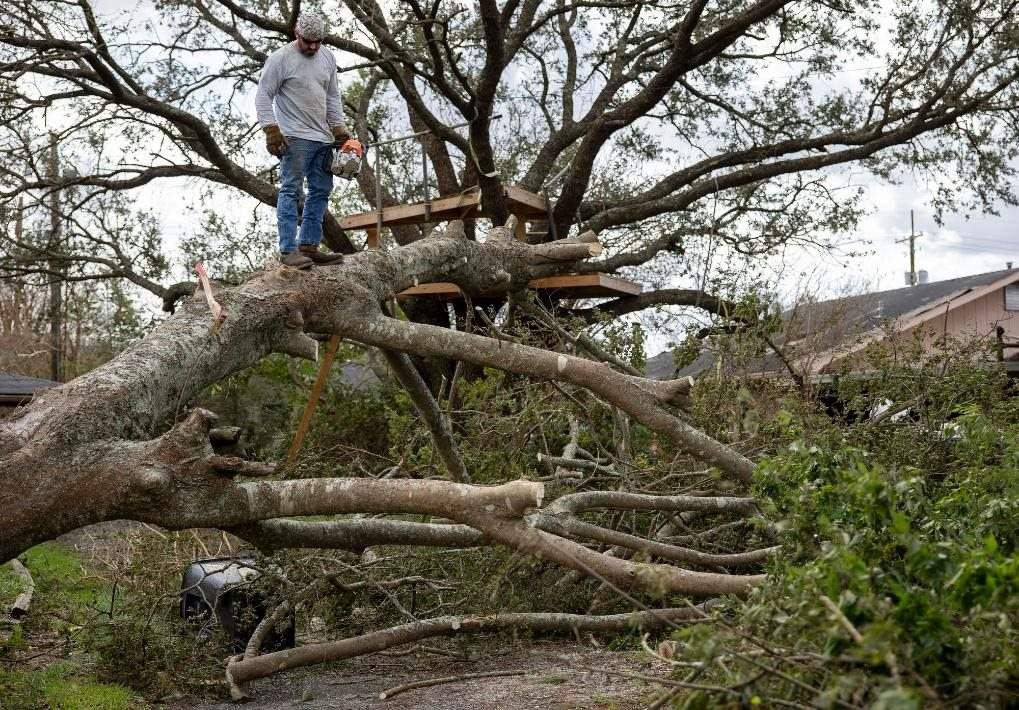2021年8月30日，在美國(guó)路易斯安那州霍馬，一名男子站在被颶風(fēng)吹倒的大樹上。新華社發(fā)（尼克·瓦格納 攝）