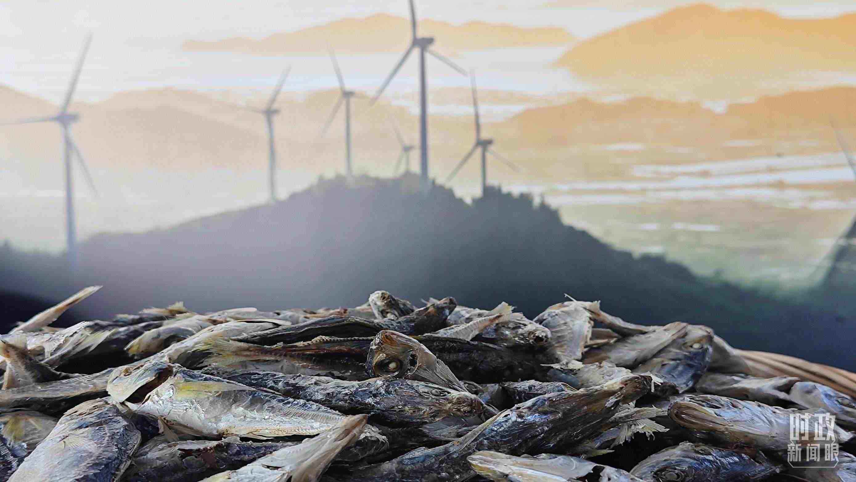 △澳角村的海產(chǎn)品。（總臺(tái)央視記者許永松拍攝）