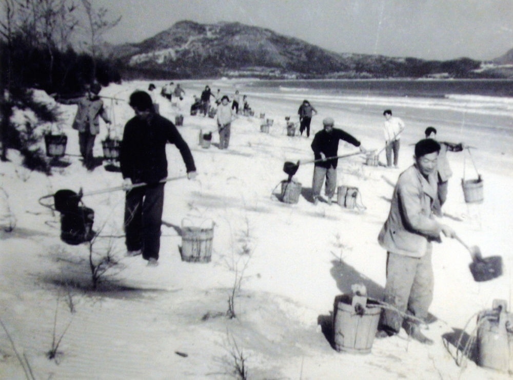 上世紀東山百姓在沙灘造林（資料照片）。