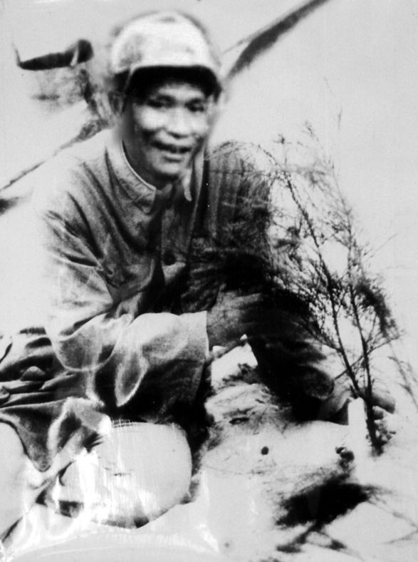 谷文昌與試種成活的木麻黃（資料照片）。為了治沙，谷文昌爬遍了東山縣400多個山頭，踏遍了30多公里的沙灘，終于帶領(lǐng)東山人民試種木麻黃成功。