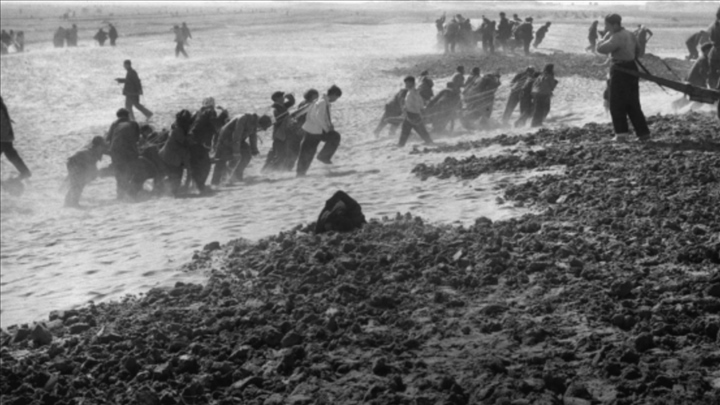 蘭考群眾在拉淤土壓沙。（新華社記者 鄧歷耕 攝）