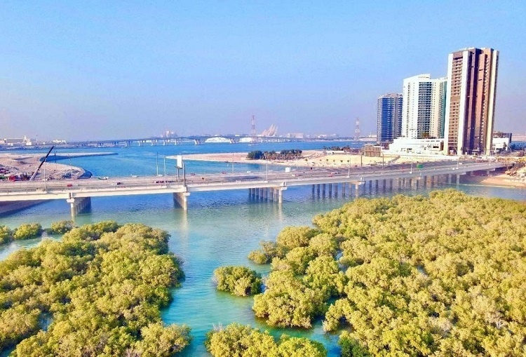 圖為瑞姆橋施工現(xiàn)場(chǎng)。中國(guó)土木供圖