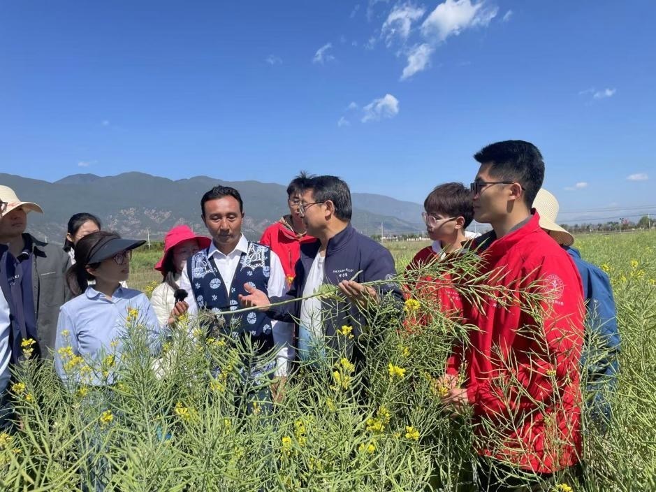 在“科技小院”授課的張福鎖。人民網(wǎng)記者李依環(huán) 攝