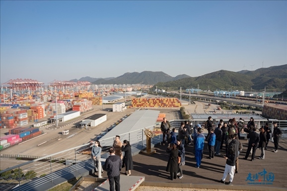 媒體團(tuán)走進(jìn)寧波舟山港北侖港區(qū)。環(huán)球網(wǎng)供圖
