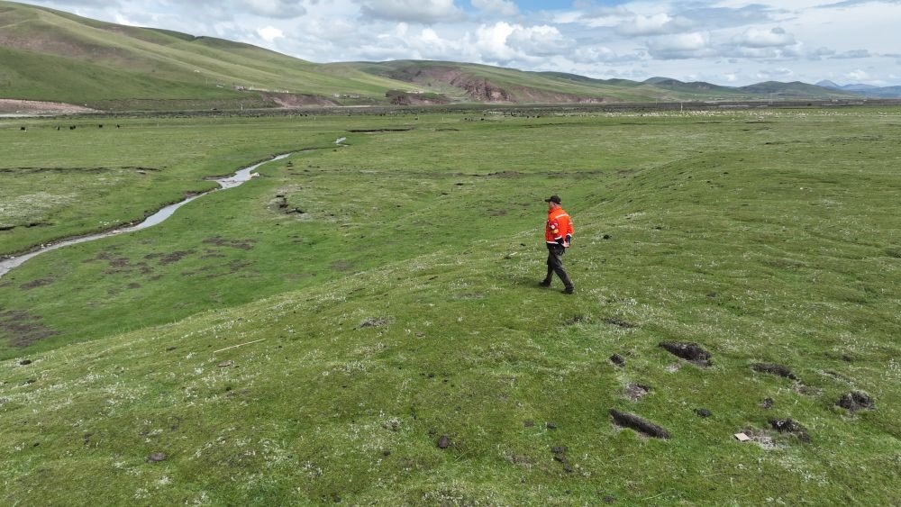 9月24日，生態(tài)管護員那瓦才郎在草場上巡護。（受訪者供圖）