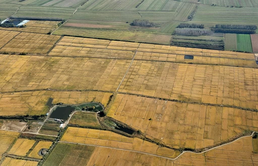俯瞰黑龍江省哈爾濱市一處稻田（10月2日攝，無人機(jī)照片）。新華社記者 孫曉宇 攝