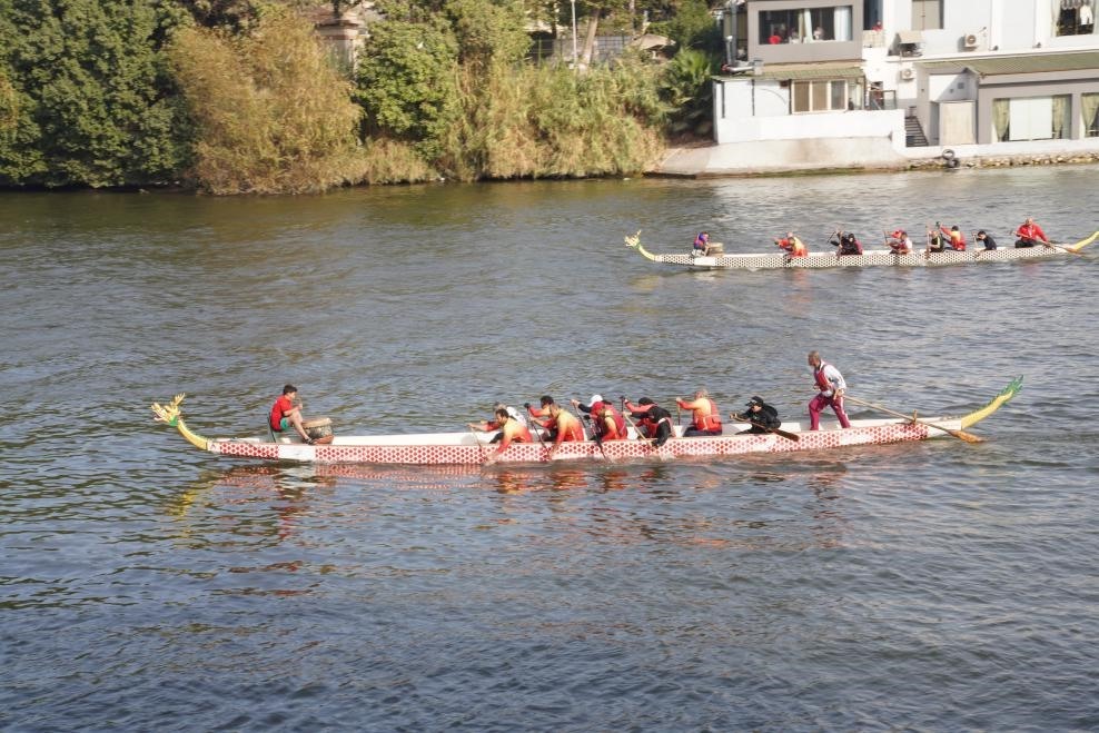 活動現(xiàn)場龍舟競技，共慶春節(jié)。開羅中國文化中心供圖