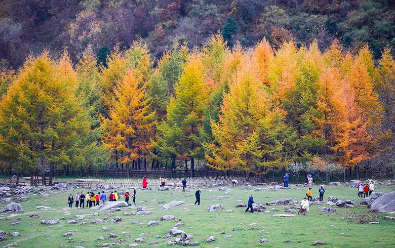 2023年10月27日，深秋時節(jié)的陜西秦嶺太子嶺五彩斑斕，進入最佳觀賞期。