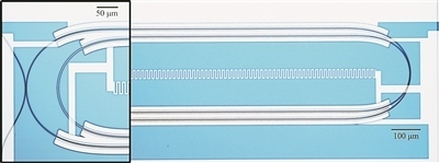 微波光量子傳感器的光學(xué)顯微照片。圖片來源：美國哈佛大學(xué)