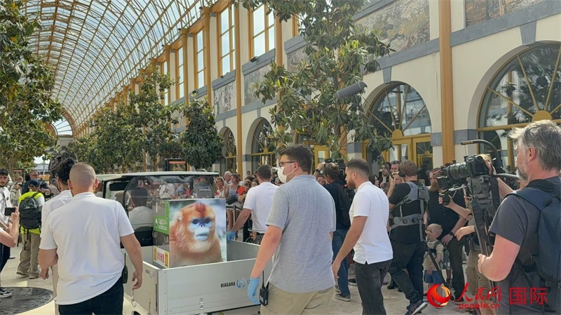 圖為活動(dòng)現(xiàn)場(chǎng)。人民網(wǎng)記者 牛瑞飛攝